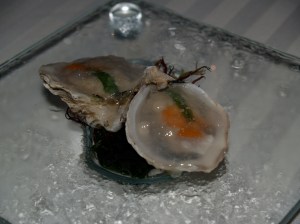 oysters